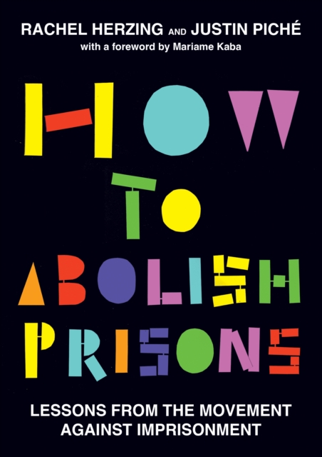 Image for How to Abolish Prisons : Lessons from the Movement